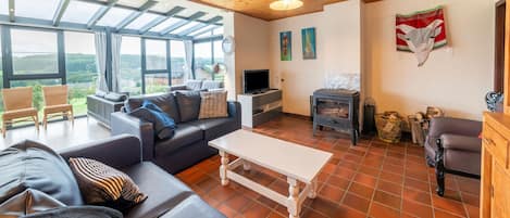 Smart TV, fireplace, books