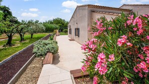 A modern building with a tiled roof, a paved pathway, and a garden with pink flowers.