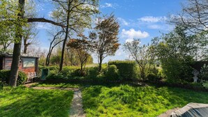Un jardín con un banco de madera, un cobertizo pequeño y un sendero que atraviesa la vegetación.