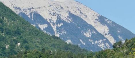 Una montaña con un faro en la cima, rodeada de un bosque verde y tupido.