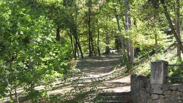 Terrein van de accommodatie