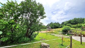 A grassy area with a large tree, a stone, and a fenced path. - Apartment in Köttmannsdorf near Wörthersee (Köttmannsdorf)