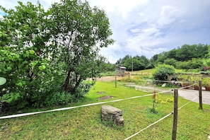 Une zone herbeuse avec un grand arbre, une pierre et un sentier délimité par une clôture.