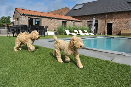 Vlaanderen Cozy Cottage