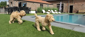 Vlaanderen Cozy Cottage