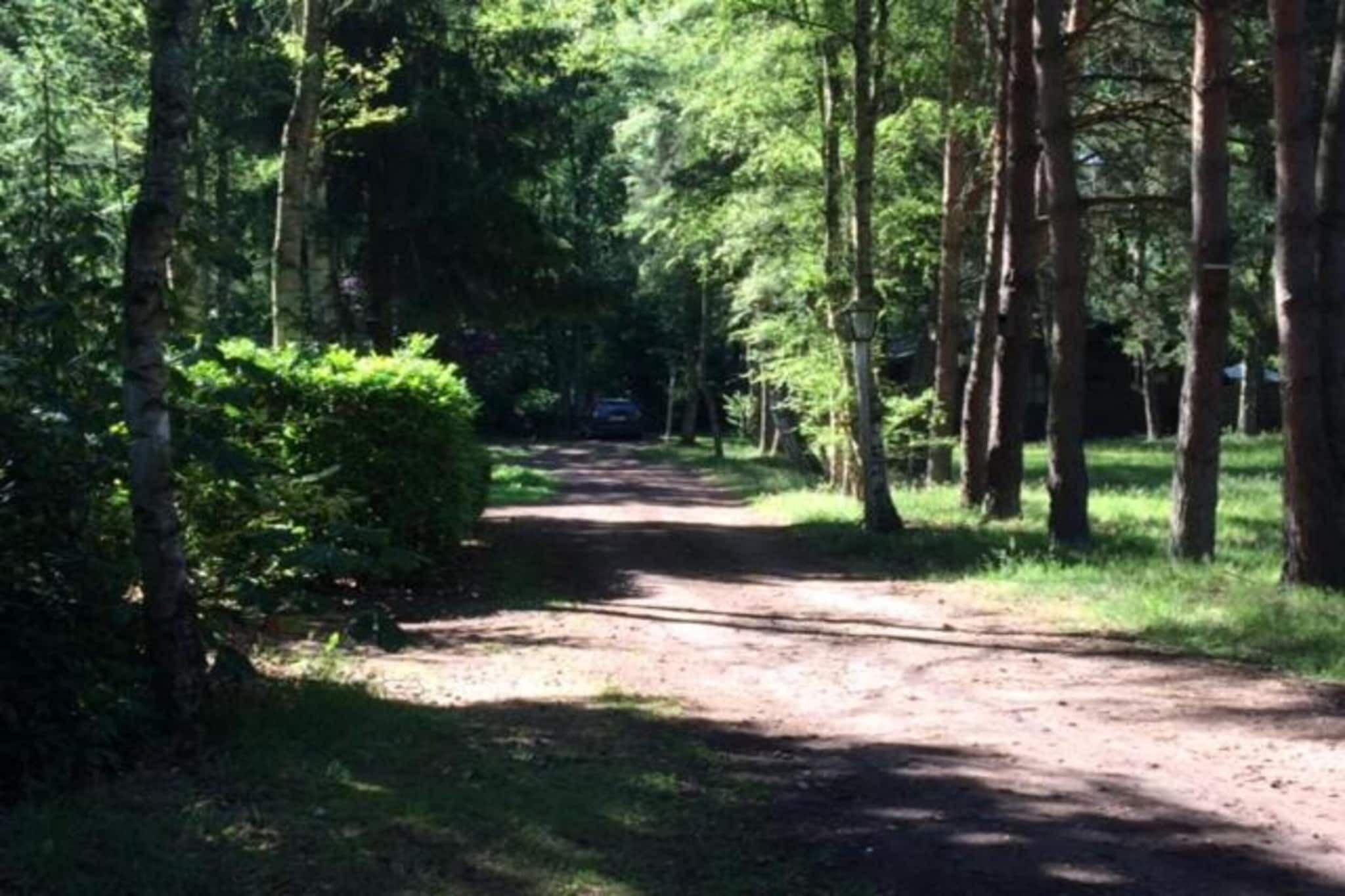 Region [summer] (>5 km)
