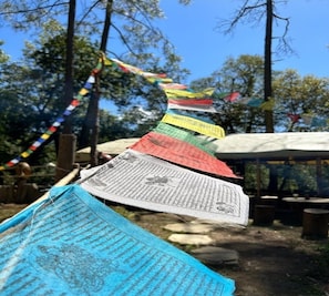 Exterior - GlampInn Woods (Kosiyakutoli)