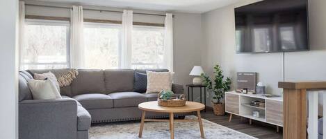 スマートテレビ、書庫