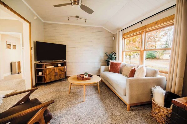 TV, fireplace, books