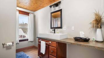 Shower, hair dryer, shampoo