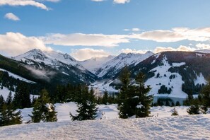 Uklassifisert bilde, 4 av 39, knapp