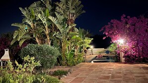 A garden with large banana trees and a pink flowering tree, a paved walkway, and a railing.