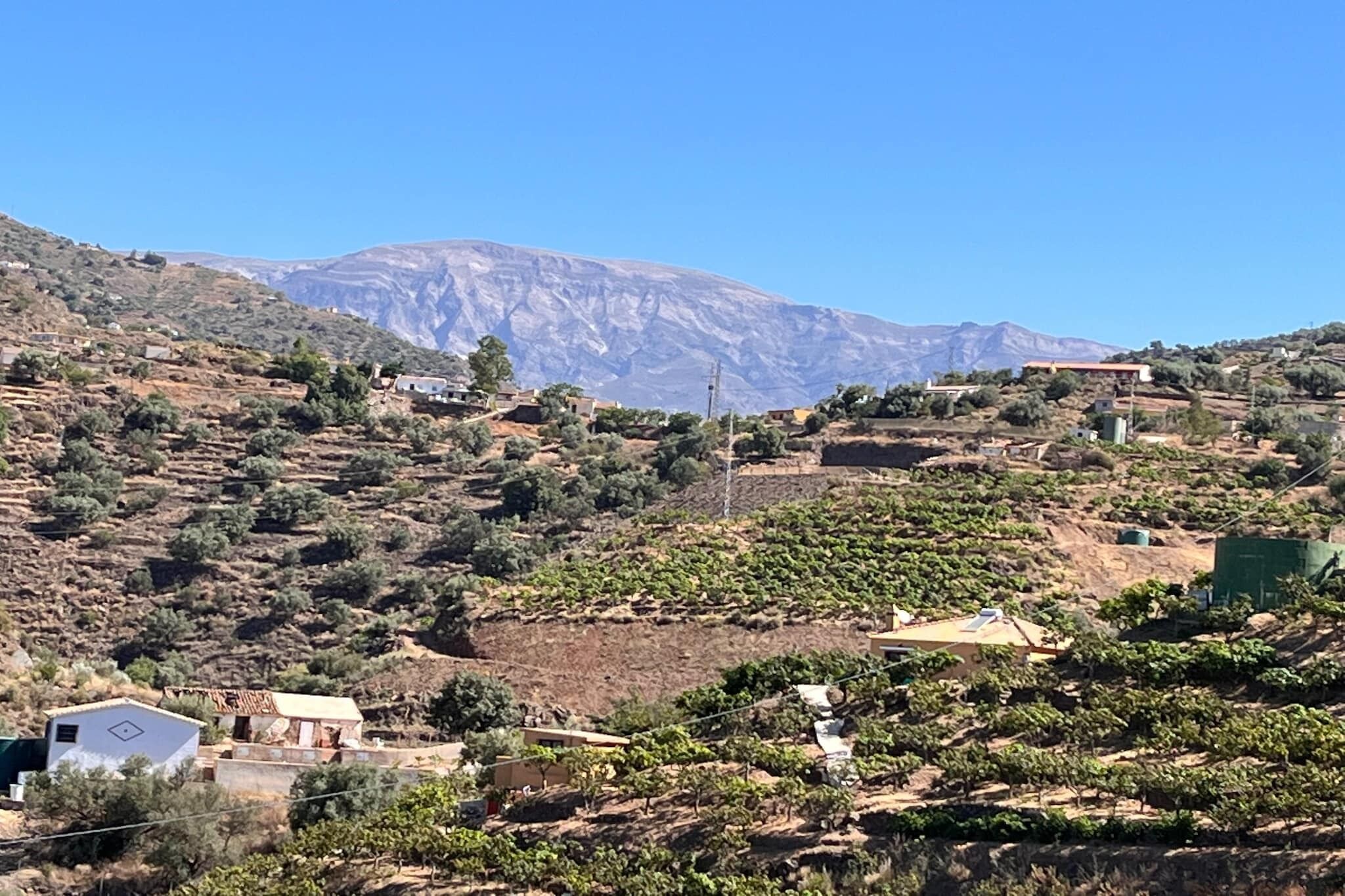 A rural landscape with terraced fields and scattered buildings, likely a vineyard or farm area.