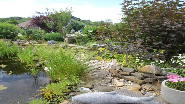A serene garden with a pond, rocks, and a koi fish sculpture. - charmante Erdgeschosswohnung in Daun (Daun)