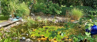 Retiro en el jardín Vulkaneifel