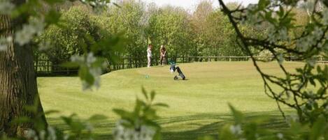 A golf course with a well-maintained green, a wooden fence, and trees in the background.