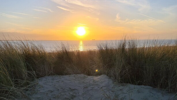 Escena de playa con atardecer, arena y pasto.