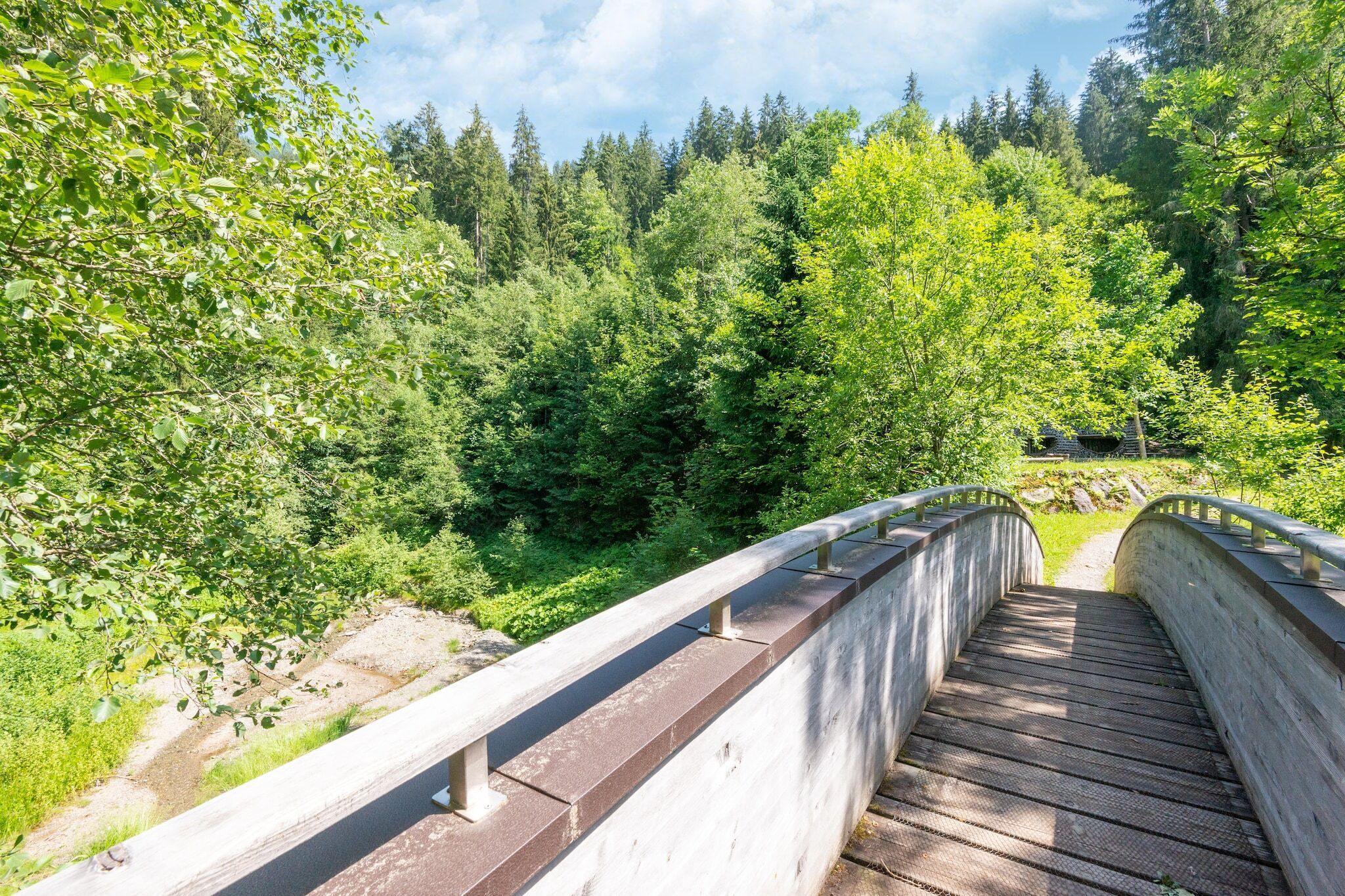 A wooden bridge with metal railings in a forested area.