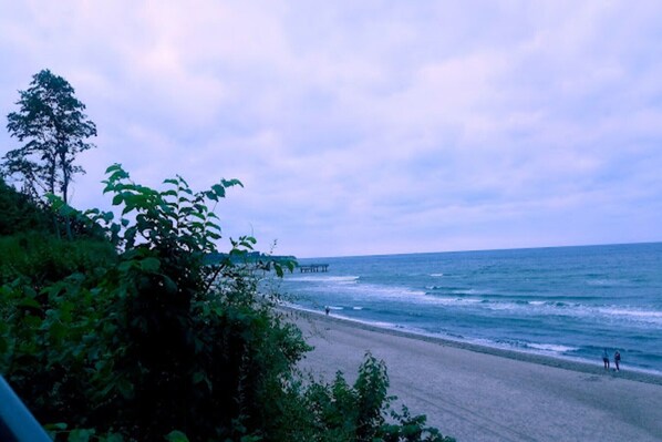 Nära stranden