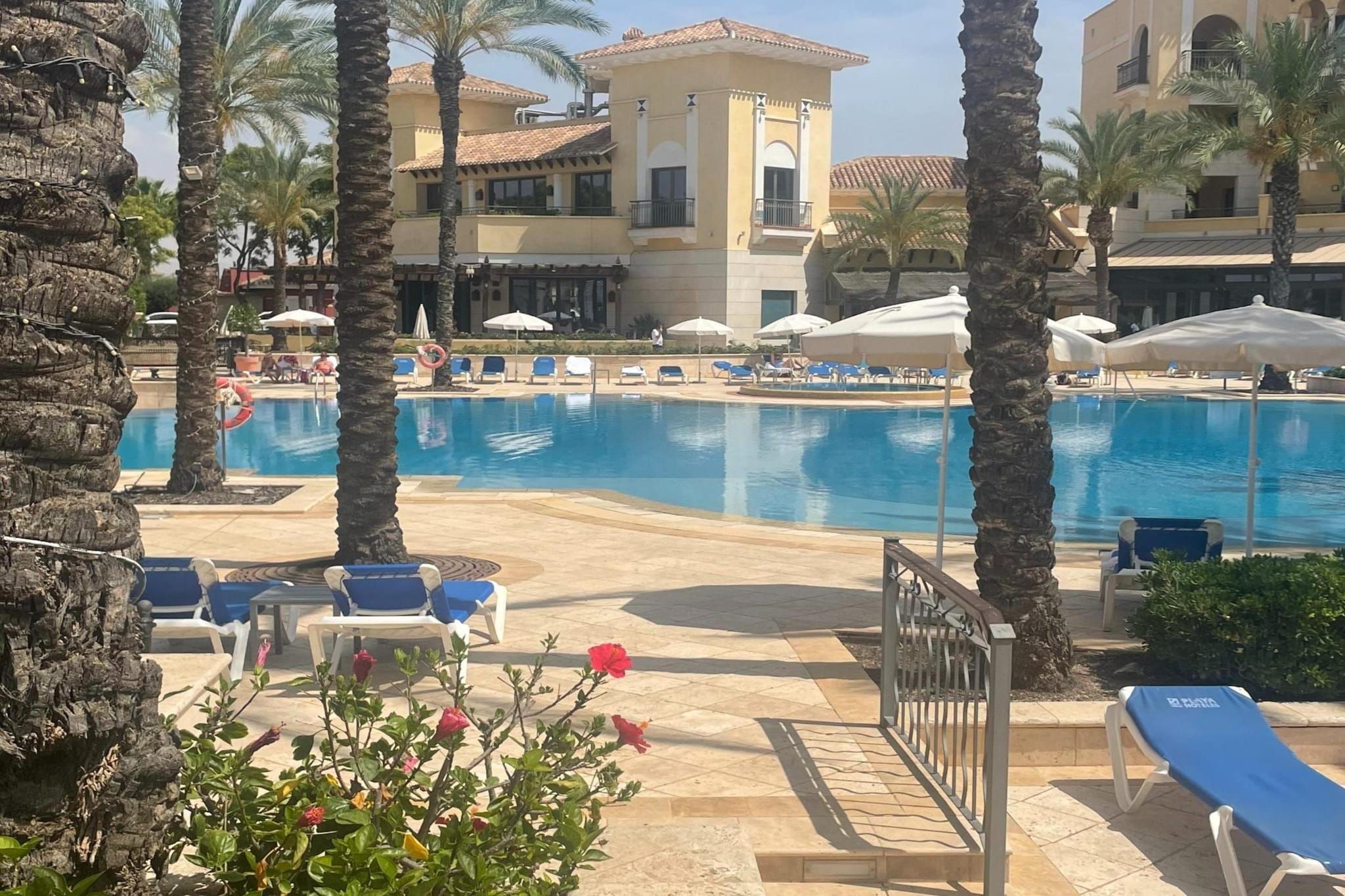Un espace piscine avec des chaises longues et des parasols, entouré de palmiers et d’un bâtiment doté de balcons.
