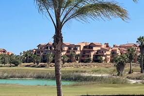 A residential area with multi-story buildings, a palm tree, and a body of water.