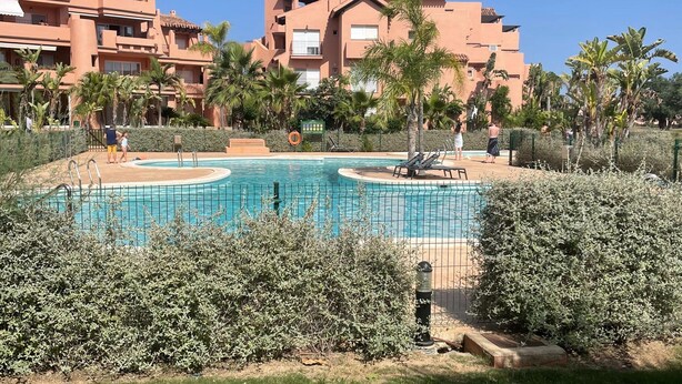 Un espace piscine avec une piscine entourée d’une clôture, bordé de verdure et de palmiers, avec des bâtiments en arrière-plan.