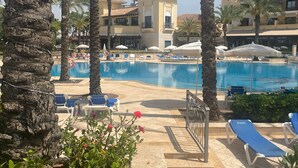 Un espace piscine avec des chaises longues, des palmiers et un bâtiment doté de balcons.