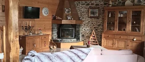 TV, fireplace, books