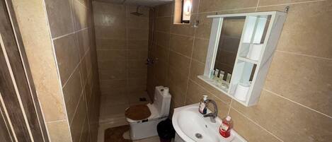 A compact bathroom with a shower, toilet, sink, and a small window.