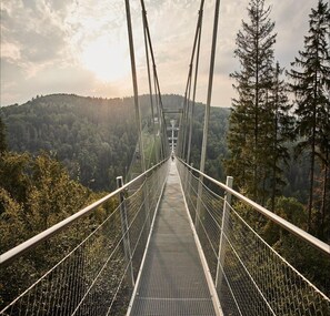 A suspension bridge with metal railings and a metal walkway, surrounded by dense forest and hills.