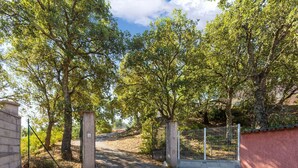Ein verschlossenes Tor mit einem Metallzaun, umgeben von Bäumen und einem Feldweg.