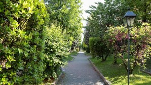 Un sendero pavimentado bordeado de abundante vegetación y un farol.