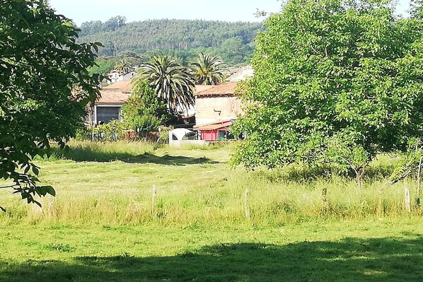 Áreas de la propiedad