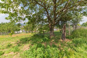 Overnatningsstedets område