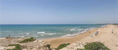 Ein Strand mit blauem Himmel, ruhigem Wasser und wenig Vegetation.
