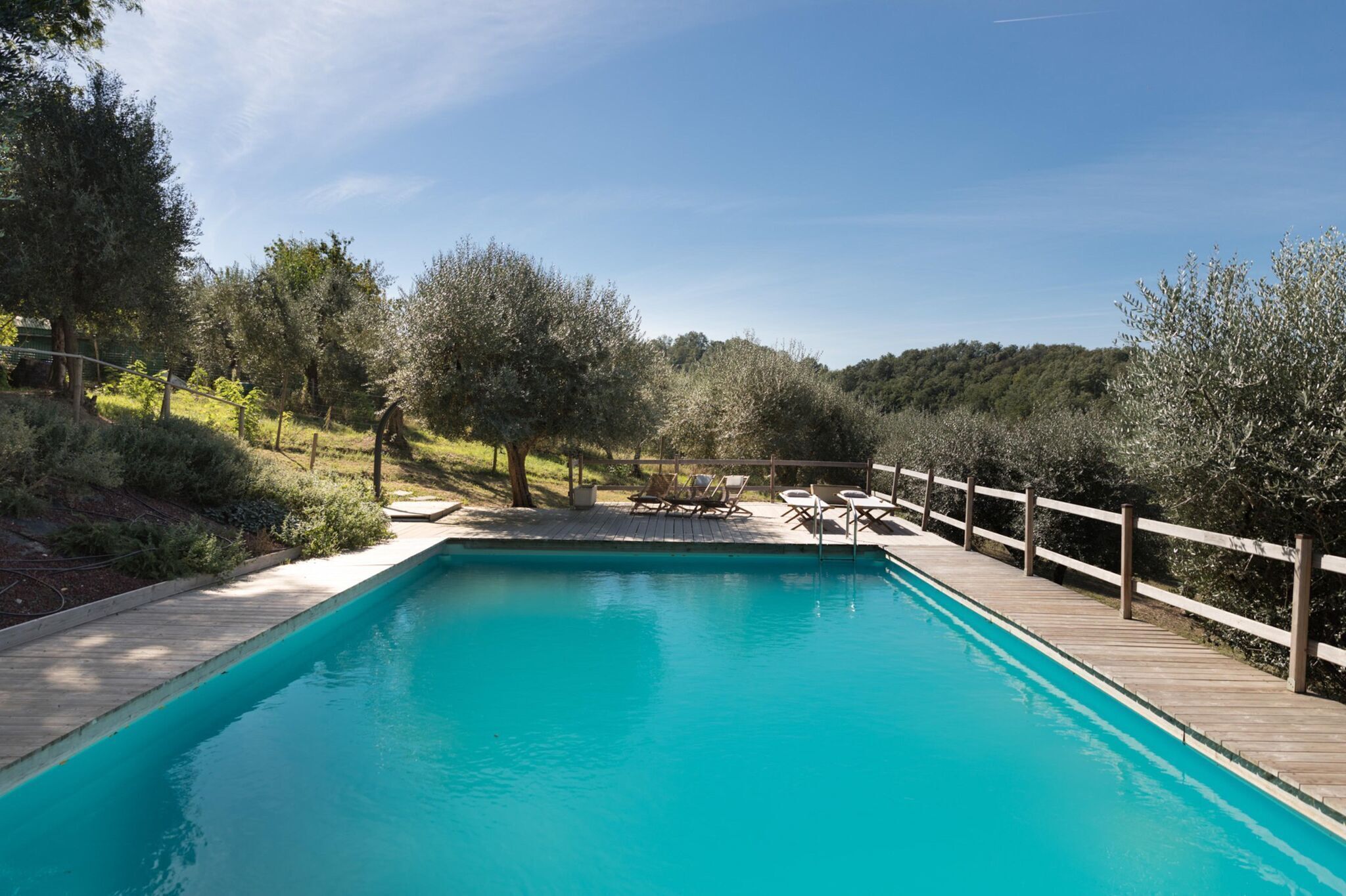 A rectangular swimming pool with a wooden deck and lounge chairs, surrounded by trees and a wooden fence.