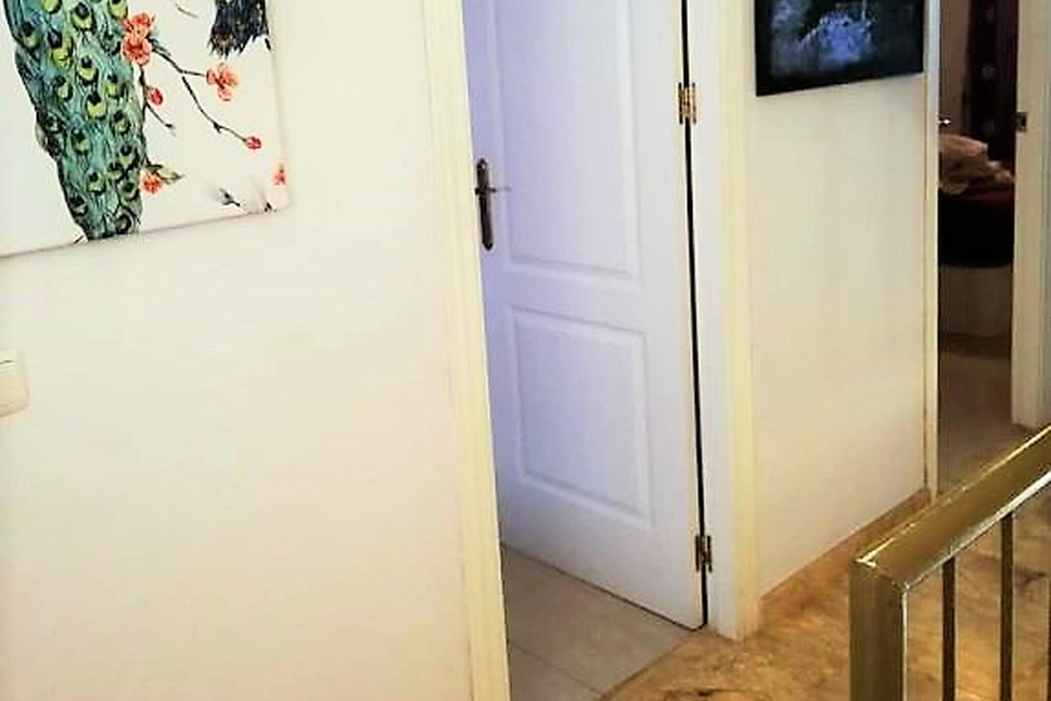 Um corredor com porta branca, pintura de um pavão e televisão fixada na parede.
