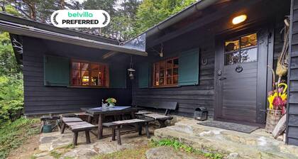 Holiday Home in Edlitz near Ski Slopes