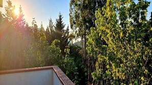 Un balcón con vistas a una vegetación frondosa y un cielo despejado.
