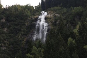 Una cascada se precipita por una ladera rocosa rodeada de un bosque denso.