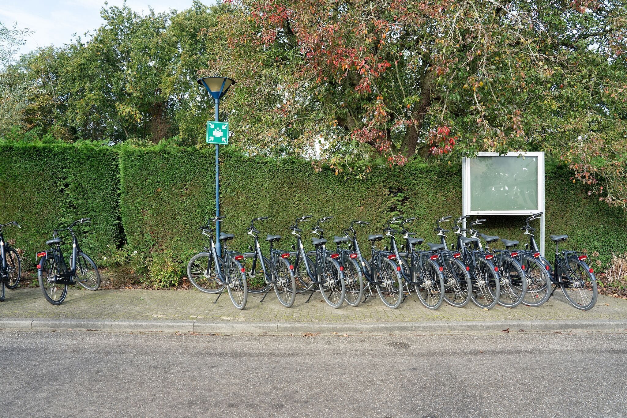 Une rangée de vélos garés contre une haie, un lampadaire et un panneau d’affichage vierge.