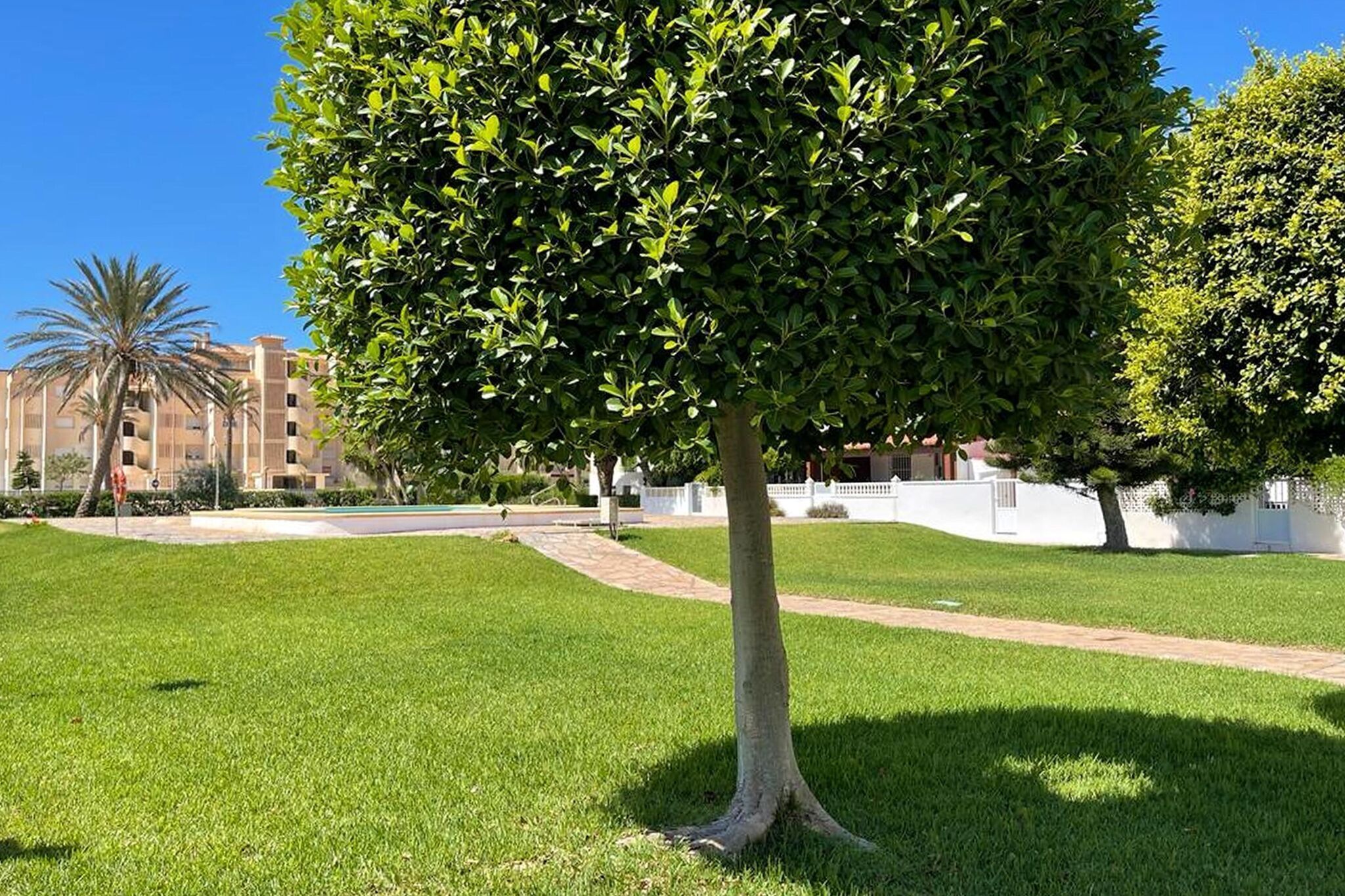 Jardines del alojamiento