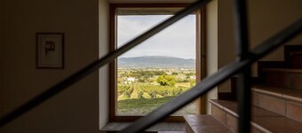 Villa classica per famiglie con animali domestici