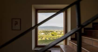 Classic Villa for family with pets