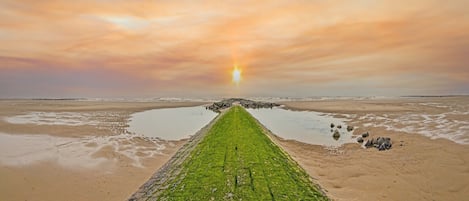 Tæt på stranden