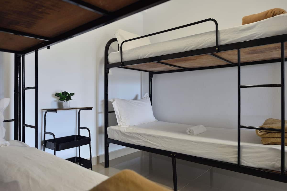 Habitación con literas, una mesita pequeña y una planta en maceta.