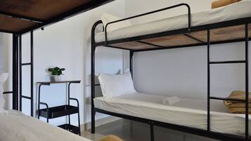 A bunk bed room with a small table and a potted plant.