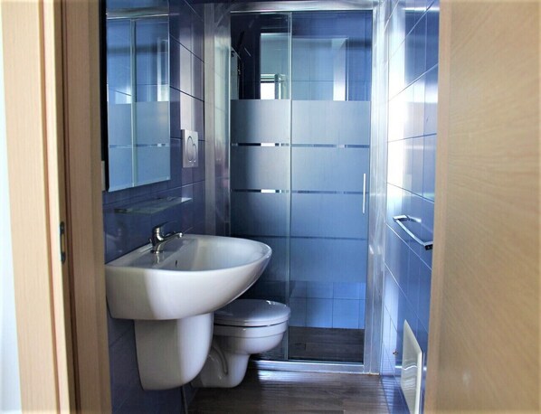 Shower, hair dryer, bidet, towels