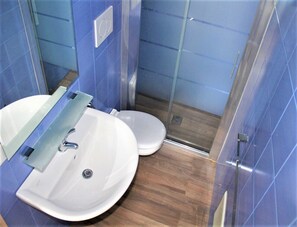 Shower, hair dryer, bidet, towels