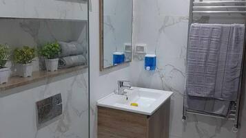 Shower, hair dryer, bidet, towels